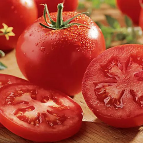 Semilir 10 Seeds Celebrity Plus Tomato Semi Determinate Vegetable Suppliers - €8,66 EUR