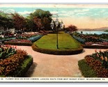 Flower Beds on River Common Wilkes-Barre Pennsylvania PA UNP WB Postcard... - $2.92