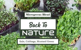 Kale, Cabbage, Mustard Green Microgreens - Organic Seeds - Non Gmo - Heirloom Se - £3.17 GBP