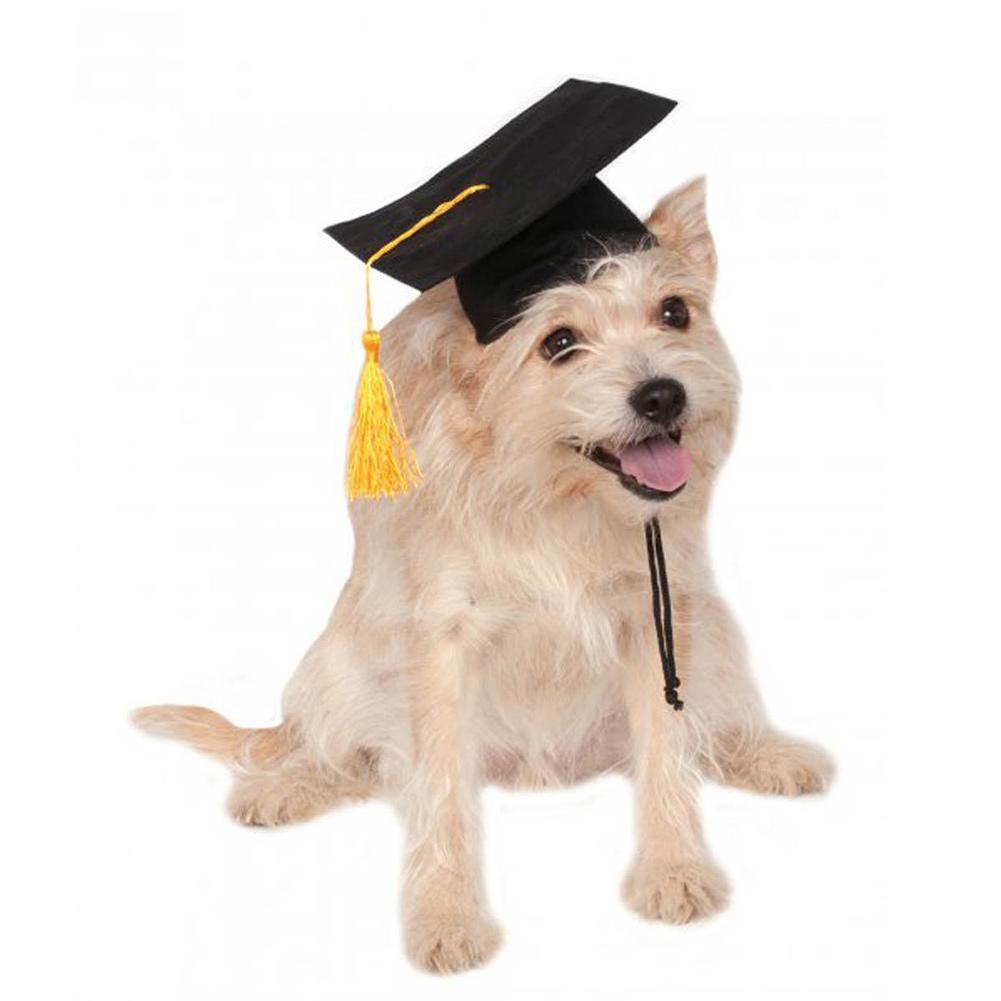 Tassel Degree Hat Pet Products - $11.80