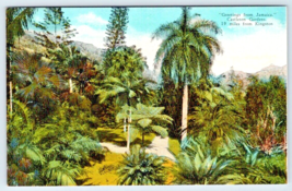 Greetings From Giamaica ~ Castleton Gardens-Near Kingston ~ Antico Cartolina - £7.91 GBP