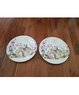 2pc Easter Rachel Ashwell the Prairie Bunny Rabbit Melamine Spring Plate... - $558.84 MXN