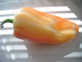 25 Organic Giant Szegedi Pepper Capsicum Hungarian Sweet   - $17.00