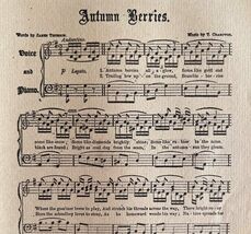 Autumn Berries Sheet Music 1892 Victorian Voice And Piano Ephemera DWY10A - $35.02 CAD