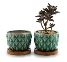 Ceramic Pineapple Succulent  Pot Set with FREE Bamboo Trays White Pack of 2 - £19.29 GBP