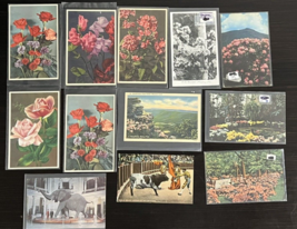 Vintage Postcards Mixed lot of 12  Flowers Views Unusual Posted and Non-... - $14.46