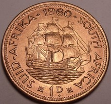 Large Gem Unc South Africa 1960 Penny~Last Year Ever Made~Dromedaris~Fre... - $6.16
