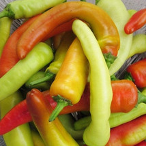 400 Hungarian Wax Hot Pepper Seeds Hot Banana Pepper Non Gmo Heirloom Garden Fre - £7.70 GBP