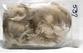 Mallard Flank Feathers - Hareline Fly Tying Natural #537 - $7.43