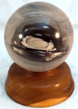3 3/8&quot; Sphere Made from Petrified Wood Stone with Wooden Display Stand - £58.09 GBP