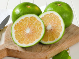 5 Sweeties Grapefruit Seeds Planting USA Gardening - $7.96