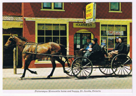 Postcard Mennonite Horse &amp; Buggy At Jacob&#39;s Ontario - £3.10 GBP