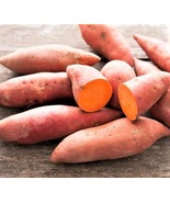 7 Sweet potato slips organic garnet deep orange or red sweet potatoes - $1,020.84 MXN