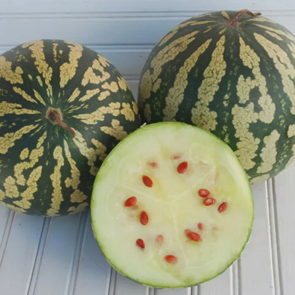 10 Citron (Red Seeded) Watermelon Seed Sweet Unique Grown In Us Fresh Ga... - £7.81 GBP