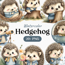 Bundle Watercolor Cute Hedgehog Clipart PNG - £2.38 GBP