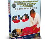 Zhang-Style Massage for Food Stagnation and Constipation Relief Guide DVD - $15.99