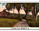Generic Scenic Greetings Country Road Scene Bliss New York UNP WB Postca... - $4.90