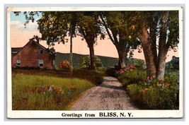 Generic Scenic Greetings Country Road Scene Bliss New York UNP WB Postcard W15 - £3.85 GBP