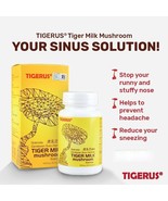 TIGERUS Tiger Milk Mushroom Sclerotia 60’s ORIGINAL &amp; HALAL Sinus Asthma... - $91.67 CAD