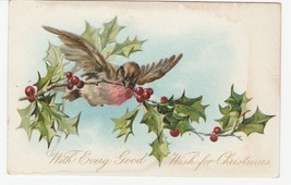Vintage Postcard Christmas Bird Carries Holly Undivided Back - £5.44 GBP