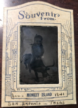 San Antonio Tx ~ ISLAND-WOMAN&#39;S Monkey Riding Head Bull Shoot ~ Souvenir-
sho... - £10.41 GBP