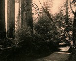 Path Through Point Defiance Park Tacoma Washington WA 1905 UDB Postcard T15 - £3.07 GBP