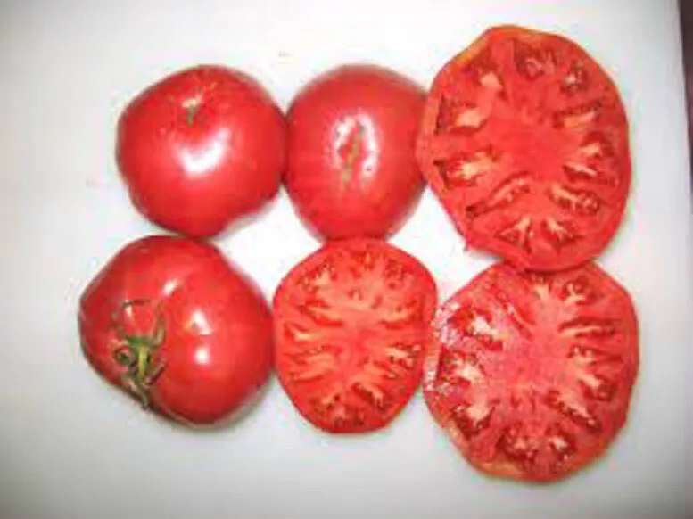 50 Seeds Neves Azorean Red Tomato Tomatoe Vegetable Garden Edible Canning - $9.63