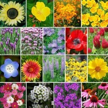 THJAR Wildflower Mix The Bees Knees Heirloom 18 Species Pollinators Non-Gmo 500+ - £2.97 GBP