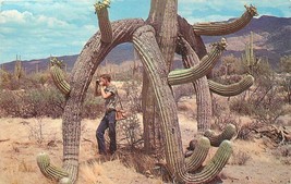 Crazy Saguaro Fantastic Shape Man with Camera Unused Chrome Postcard AZ P674 - £3.10 GBP