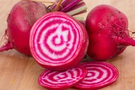 USA SELLER 25 Chioggia Beet Seeds Fast Shipping - $15.25