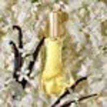 Giorgio Beverly Hills for Women Eau de Toilette Spray 3.0 Ounce image 15