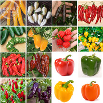 Mixed 16 Types Sweet Hot Pepper Chili 200 Seeds Vegetable Most Pepper Beautiful - £9.05 GBP