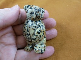 (Y-BEA-ST-721) spotted STANDING BEAR gemstone carving FIGURINE I love be... - $469.08 MXN