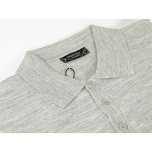 Mens PRINCELY Soft Merinos Wool Sweater Knits Lightweight Polo 1011-40 Silver image 2