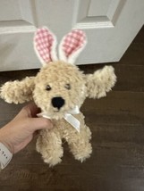 Pier 1 Imports Dog Plush With Gingham Bunny Ears 8 Inch  - £10.19 GBP