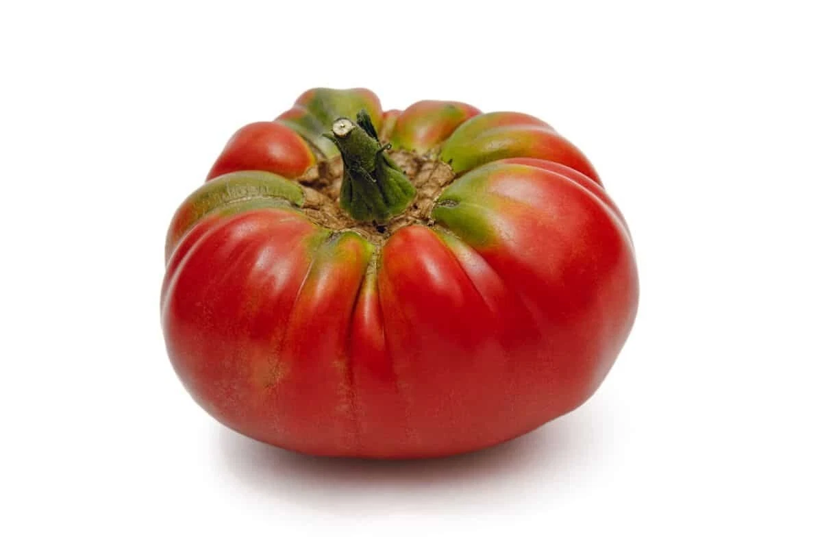 50+ Seeds German Johnson Tomato Tomatoe Vegetable Garden Edible Canning - $10.02