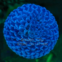 F7bae97726ff01b6 thumb200