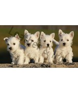 West Highland Terrier Puppies Design Vinyl Checkbook Cover Westie Dog - £6.88 GBP