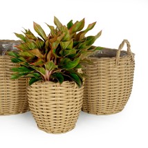 DTY Signature 3-Pack Wicker Multi-purposes Basket with handle - Planter ... - £151.73 GBP
