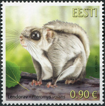 Estonia. 2022. Siberian Flying Squirrel (Pteromys volans) (MNH **) Stamp - £1.07 GBP