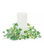 Mixed Ivy Candle Ring (Set of 6) - 851450 - $109.42 CAD