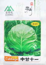 Chinese Cabbage Vegetable Seeds 1500 Seeds Cold Dish Vegetables #Nf641 F... - $14.99