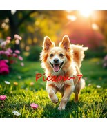 Digital Image Ai Picture Photo Wallpaper Background Desktop Art Happy Dog - $18.15 MXN