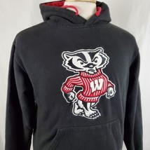 Wisconsin Bucky Badger Hoodie Sweatshirt Adult Small Black Pullover Sewn Logo - £14.93 GBP