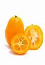 BELLFARM Kumquat Seeds, Golden Orange Cumquats Kinkan Golden Tangerine F... - £8.39 GBP