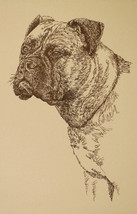 BULLMASTIFF DOG ART GIFT Stephen Kline will draw your dogs name free Pri... - £39.24 GBP