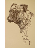 BULLMASTIFF DOG ART GIFT Stephen Kline will draw your dogs name free Pri... - £40.02 GBP