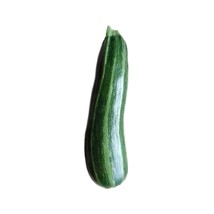 Cocozelle Zucchini Seeds Organic Gardening Fresh USA SHIPPING - £7.91 GBP