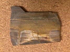 Petrified wood   slab-  5   &quot; x  3.25 &quot;-  display - $7.88