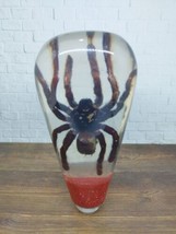 Underwater Real Spider Tarantula Gear Shift Knob Acrylic Resin_c112 - £93.09 GBP